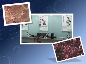 Лабораторія оптичної мікроскопії